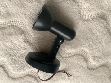 Spotje  beschikbaar voor biedingen