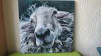 schilderij oud schaap, acrylverf op doek, lage prijs, Antiek en Kunst, Kunst | Schilderijen | Modern, Verzenden