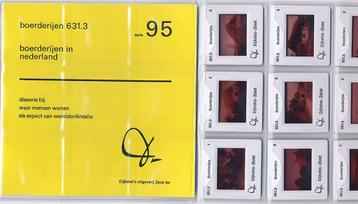 9 Boerderijtypes in Nederland bv Noordoostpolder Zeeland beschikbaar voor biedingen