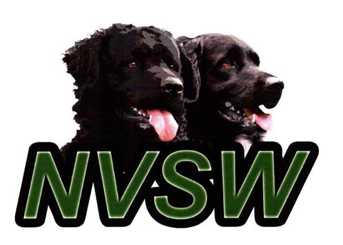 Stamboom Stabij pups (reutjes), Dieren en Toebehoren, Honden | Setters en Staande honden, Reu, Overige rassen, Particulier, Meerdere