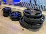 Fitness platen/schijven Lifemaxx 210, Sport en Fitness, Ophalen, Zo goed als nieuw, Halterschijven