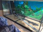 Eheim aquarium 180 liter, Dieren en Toebehoren, Vissen | Aquaria en Toebehoren, Ophalen, Gebruikt