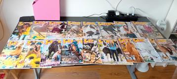 Penny's 2021  beschikbaar voor biedingen