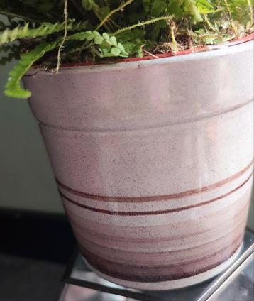 Vintage Bloempot - Charmante Uitstraling beschikbaar voor biedingen