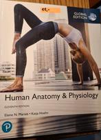 Human anatomy & physiology Elaine N. Marieb & Katja Hoehn, Ophalen, Beta, Zo goed als nieuw, WO