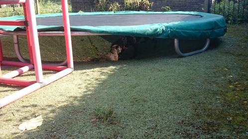 Trampoline 3,60 m – goede staat, netjes opgeslagen – bieden, Kinderen en Baby's, Speelgoed | Buiten | Trampolines, Ophalen