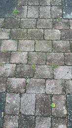tuintegels gratis, Tuin en Terras, Ophalen, Gebruikt, 10 m² of meer, Beton