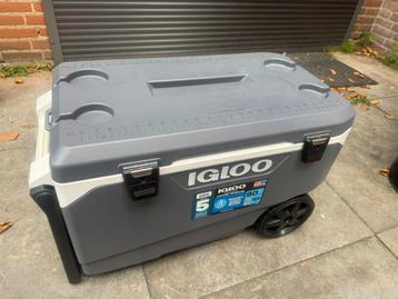 Koelbox Igloo beschikbaar voor biedingen