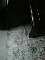 tafel, Ophalen, 100 tot 150 cm, Vierkant, 50 tot 100 cm