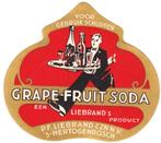 Oud limonade etiket Den Bosch, porto koper!, Ophalen of Verzenden, Gebruikt, Overige typen