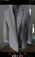 Blauw-wit gestreepte blazer., Ophalen of Verzenden, Zo goed als nieuw, Maat 42/44 (L), Blauw