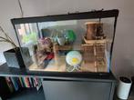 Hamsterhok voor hamsterscaping met heel veel spullen, Minder dan 75 cm, Zo goed als nieuw, Ophalen, Minder dan 60 cm
