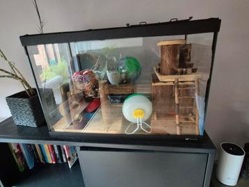 Hamsterhok voor hamsterscaping met heel veel spullen beschikbaar voor biedingen