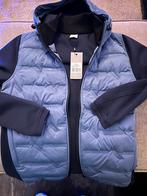 Cast iron vest maat M, Kleding | Heren, Truien en Vesten, Nieuw, Blauw, Maat 48/50 (M), Ophalen of Verzenden