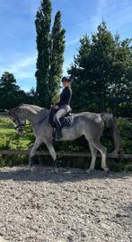 Te koop: lieve 17 jarige recreatie merrie of weidemaatje, Dieren en Toebehoren, Merrie, Recreatiepaard, 11 jaar of ouder