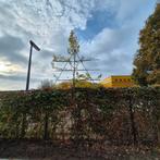 Leilinde zsm ophalen!, Ophalen, Volle zon, Overige soorten, 100 tot 250 cm