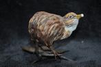 Kiwi van keramiek op metalen tak met blad, Ophalen of Verzenden, Zo goed als nieuw, Vogel, Beeldje of Figuurtje