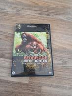 Bedreigde Diersoorten: De Orang-oetan DVD, Alle leeftijden, Ophalen of Verzenden, Zo goed als nieuw, Natuur