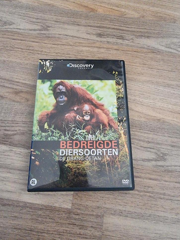 Bedreigde Diersoorten: De Orang-oetan DVD, Cd's en Dvd's, Dvd's | Documentaire en Educatief, Zo goed als nieuw, Natuur, Alle leeftijden
