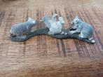 Schleich wasbeer, Verzamelen, Dierenverzamelingen, Ophalen of Verzenden, Zo goed als nieuw, Wild dier, Beeldje of Figuurtje