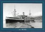 K.P.M. * s.s. REAEL *, Ophalen of Verzenden, Nieuw, Motorboot, Kaart, Foto of Prent