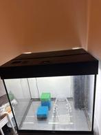 Te Koop Aangeboden Juwel Aquarium Lido 120, Ophalen, Leeg aquarium