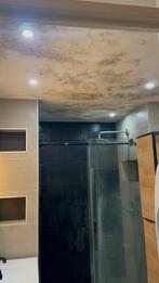 Schimmel verwijderen badkamerreiniger, Tickets en Kaartjes, Eén persoon