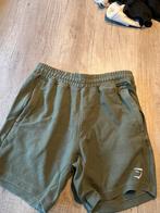 Gymshark shorts green, Fitness, Groen, Maat 46 (S) of kleiner, Gedragen