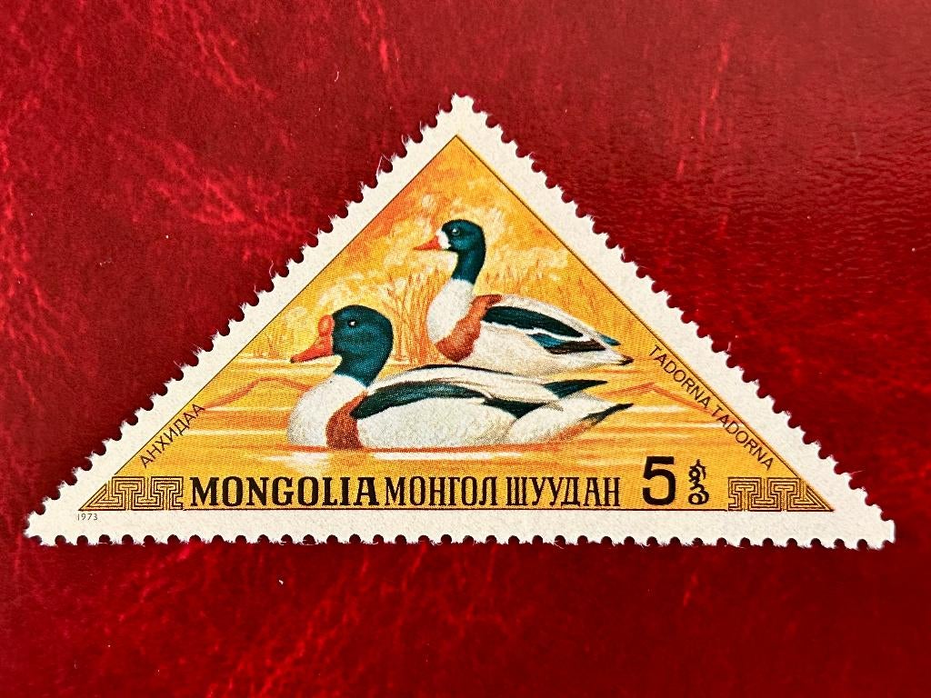 Bergeend - Mongolië - 1973, Postzegels en Munten, Postzegels | Thematische zegels, Verzenden, Postfris, Dier of Natuur