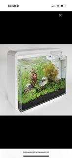Superfish Home 40, Dieren en Toebehoren, Vissen | Aquaria en Toebehoren, Ophalen, Gebruikt, Leeg aquarium