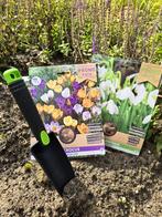 Bloembollen mix Crocus en Galanthus 70 bollen - met schepje, Verzenden, Najaar, Halfschaduw, Bloembol