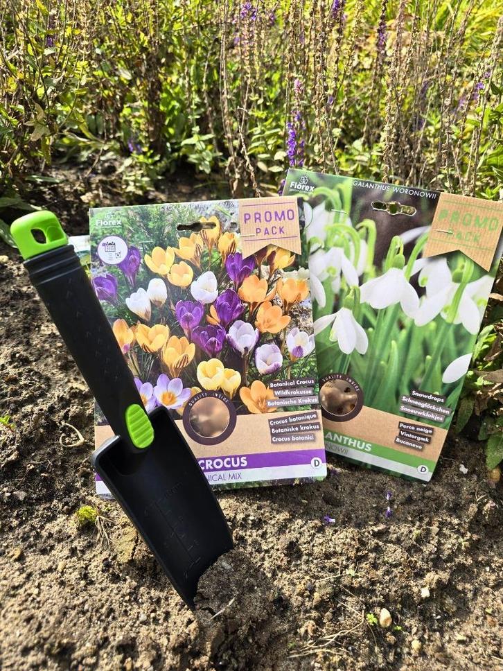 Bloembollen mix Crocus en Galanthus 70 bollen - met schepje, Tuin en Terras, Bloembollen en Zaden, Bloembol, Najaar, Halfschaduw