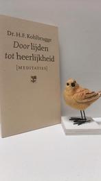 Kohlbrugge, Dr. H.F.; Door lijden tot heerlijkheid, Ophalen of Verzenden, Gelezen, Christendom | Protestants