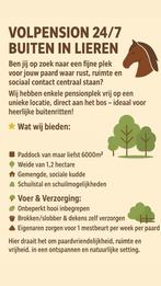 ✨Vol pensionplekken 24/7 Buiten – Lieren✨