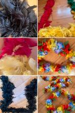 Carnavals spullen, Ophalen of Verzenden, Zo goed als nieuw, Carnaval