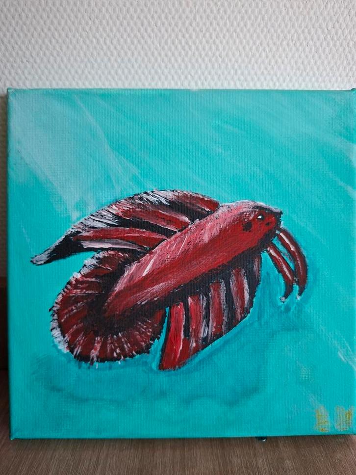 Siamese Vechtvis Schilderij - 20x20 Canvas, Antiek en Kunst, Kunst | Schilderijen | Klassiek, Ophalen of Verzenden