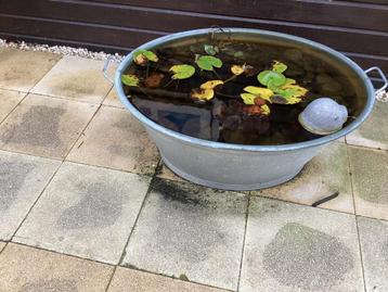 Zinken teil beschikbaar voor biedingen