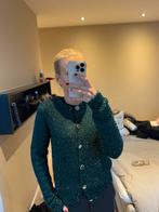 Ibana glitter vest, Kleding | Dames, Ophalen of Verzenden, Zo goed als nieuw, Maat 36 (S), Groen