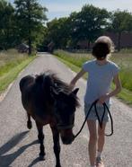 Lease pony gezocht (omgeving, Delden, Goor, Borne, Hengelo), Dieren en Toebehoren, Stalling en Weidegang