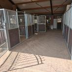 Pensionstal Chaam, Dieren en Toebehoren, Stalling en Weidegang, Weidegang, 4 paarden of pony's of meer