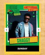 Reggae lake festival 2x zondag stadpas 40,- euro, Tickets en Kaartjes, Twee personen