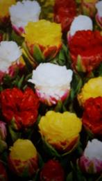 ice cream tulpenbollen in diverse kleuren, Ophalen of Verzenden, Najaar, Volle zon, Bloembol