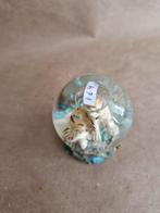 Sneeuwbol 164 tijger h, Ophalen of Verzenden, Zo goed als nieuw, Dier