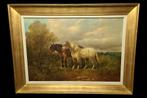Groot Paardenschilderij .Gesign. Schouten, Antiek en Kunst, Ophalen of Verzenden