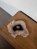 Versteend hout uit Indonesië, Ophalen, Fossiel