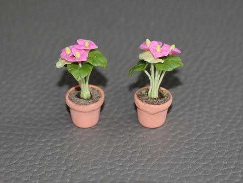 Mooie anthuriums met rose bloemen., Verzamelen, Poppenhuizen en Toebehoren, Nieuw, Gebruiksvoorwerp, Ophalen of Verzenden