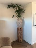 XXL bloempot / vaas inclusief kentia palm, Ophalen, Zo goed als nieuw, Overige kleuren, 75 cm of meer