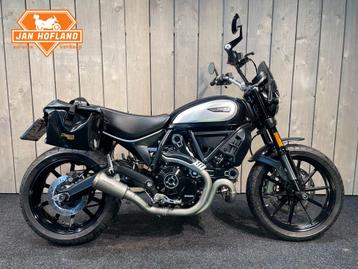 DUCATI SCRAMBLER ICON (bj 2021) beschikbaar voor biedingen