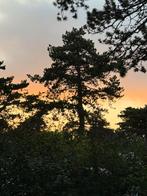 Caravan te huur camping Bakkum, Ophalen of Verzenden, Gebruikt