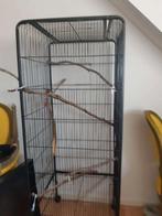 Koppeltje valkparkieten incl,vogelkooi, Dieren en Toebehoren, Vogels | Parkieten en Papegaaien, Meerdere dieren, Parkiet, Tam